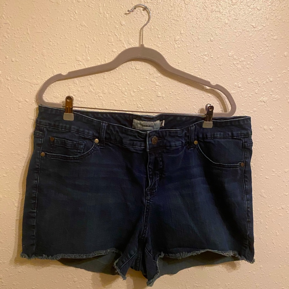 Denim torrid shorts